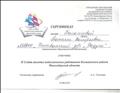 Сертификат участнику 2 Слета молодых педагогических работников Колыванского района Новосибирской области" Сертификат участнику 2 Слета молодых педагогических работников Колыванского района Новосибирской области"