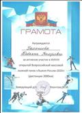 Грамота за активное участие в XXXVIII открытой Всероссийской массовой лыжной гонке "Лыжня России-2020" Грамота за активное участие в XXXVIII открытой Всероссийской массовой лыжной гонке "Лыжня России-2020"