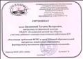 Сертификат участнику районного семинара педагогических работников ДОУ . Сертификат участнику районного семинара педагогических работников ДОУ .